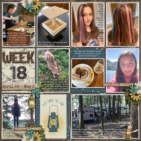 week18_ponytails-AdWoods_treed-stitchedgrids2_web.jpg