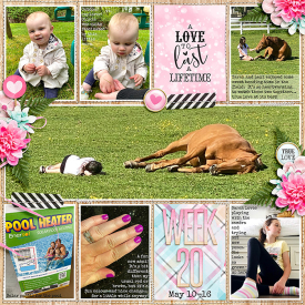 week20_DSI-WithAllMyHeart_treed-stitchedgrids2_web.jpg