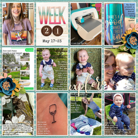 week21_KCB-TrailblazerWildFree_treed-stitchedgrids2_web.jpg
