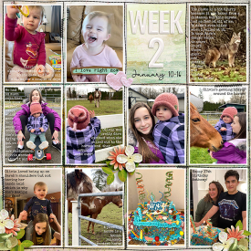 week2_sbasic-BeInTheNow_treed-stitchedgrids2_web.jpg