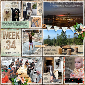 week34_sbasic-AMillionLittleThings_treed-stitchedgrids2_web.jpg