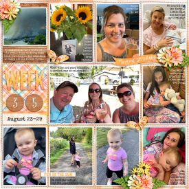 week35_DSI-GoodDaySunshine_treed-stitchedgrids2_web.jpg