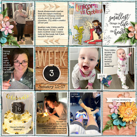 week3_KCB-collectbeautifulmoments_treed-stitchedgrids2_web.jpg