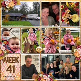 week41_ponytails-AutumnPleasures_treed-stitchedgrids2_web.jpg