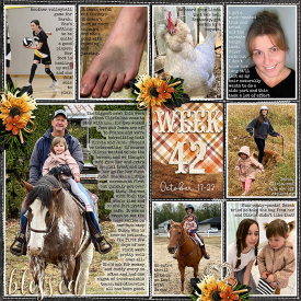 week42_DSI-FarmhouseFall_treed-stitchedgrids2_web.jpg