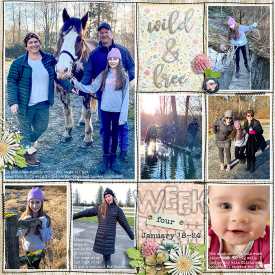 week4_ponytails-BlueJeansBabe_treed-stitchedgrids2_web.jpg