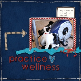 wellness_web.jpg
