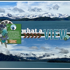 what-a-view-glacier-bay.jpg