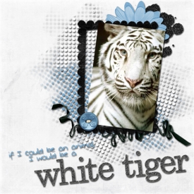 white-tiger.jpg