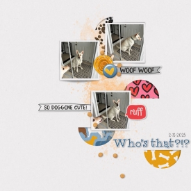 whosthat1.jpg