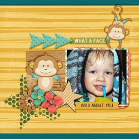 wild-about-you-monkey.jpg