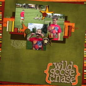 wild-goose-chase-wr.jpg