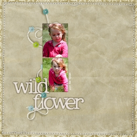 wildflower72.jpg