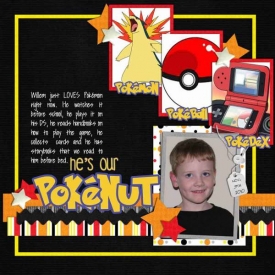 willem_pokenut_2010_v2.jpg