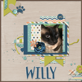 willy.jpg