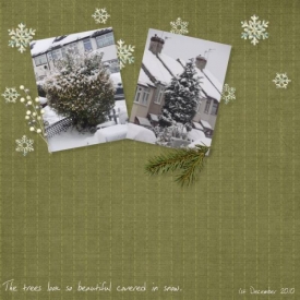 winter_trees.jpeg