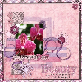 winterbeauty-copy.jpg
