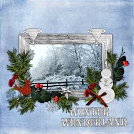 winterwonderland2.jpg