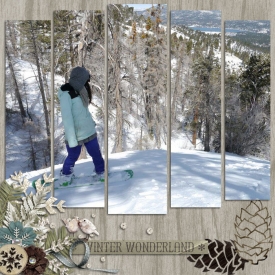 winterwonderlandweb3.jpg