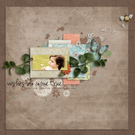 wishes-do-come-trueweb.jpg