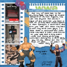 wwe2007.jpg