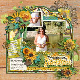 youaremysunshine2020web.jpg