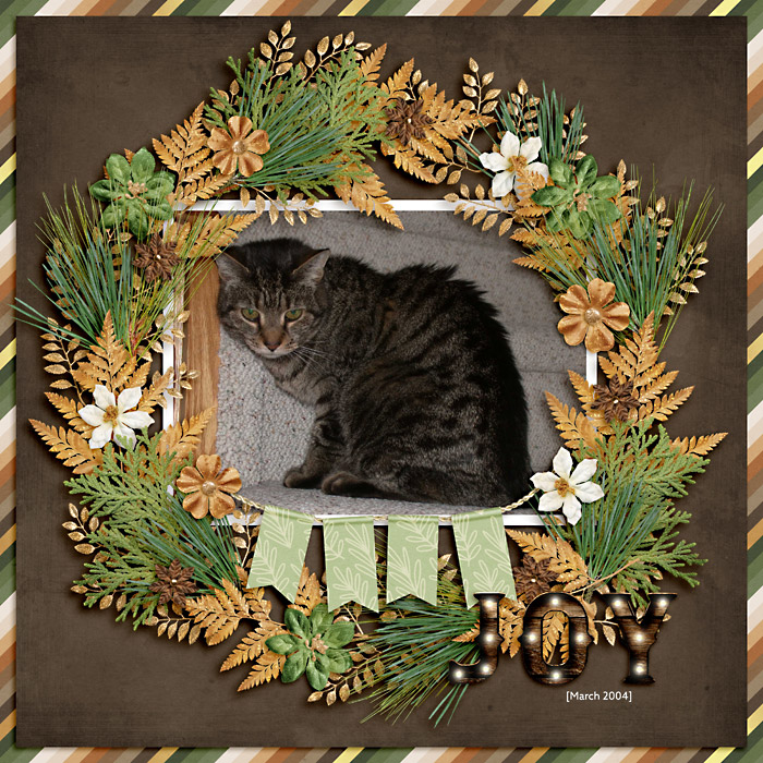 tigger2004-web-700