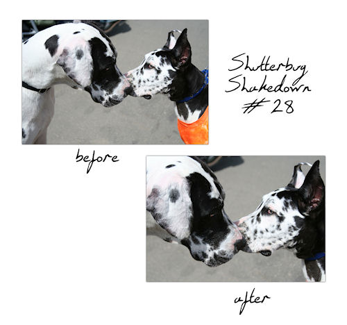 titoandaxel_beforeandafter