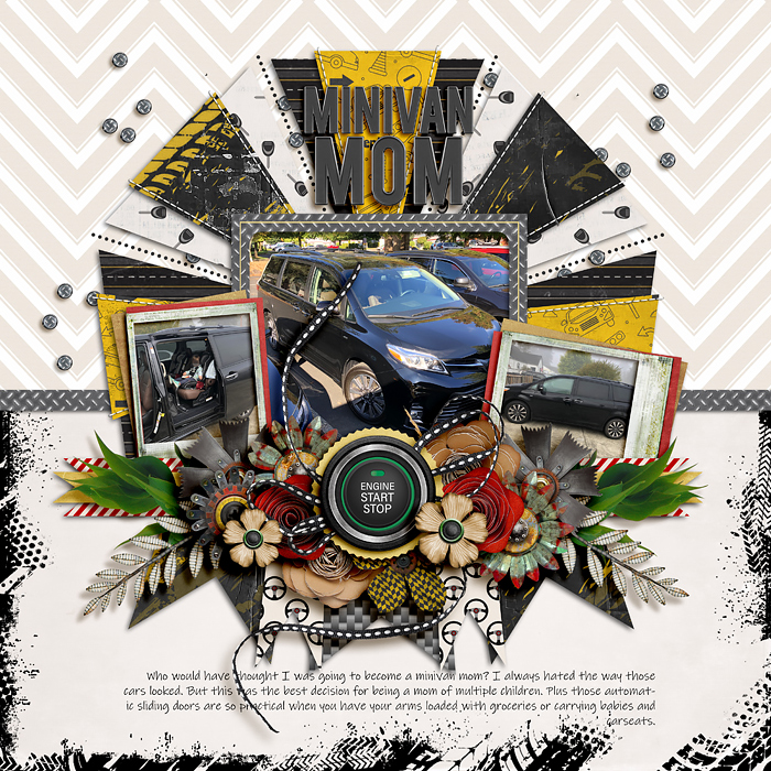 tnp-ALICENSETODRIVE-Bundle-Lea