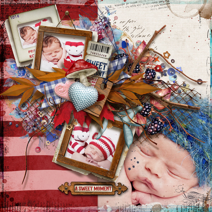 tnp-ASWEETDAY-EmS-LO2