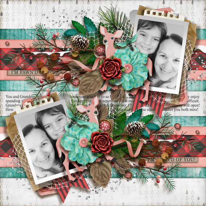tnp-BERRY_FAWN-EmS-LO4