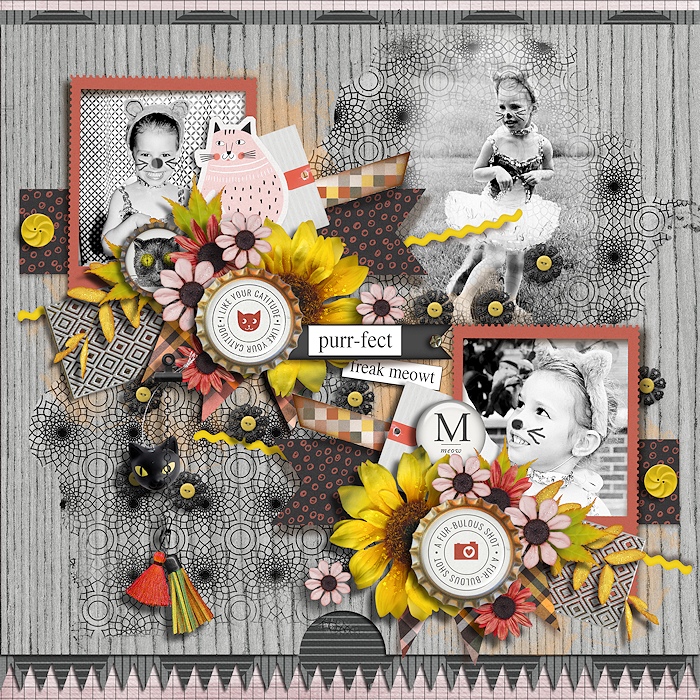 tnp-TheCatsMeow-Bundle_tnp_DoubleShotNo1-Ella
