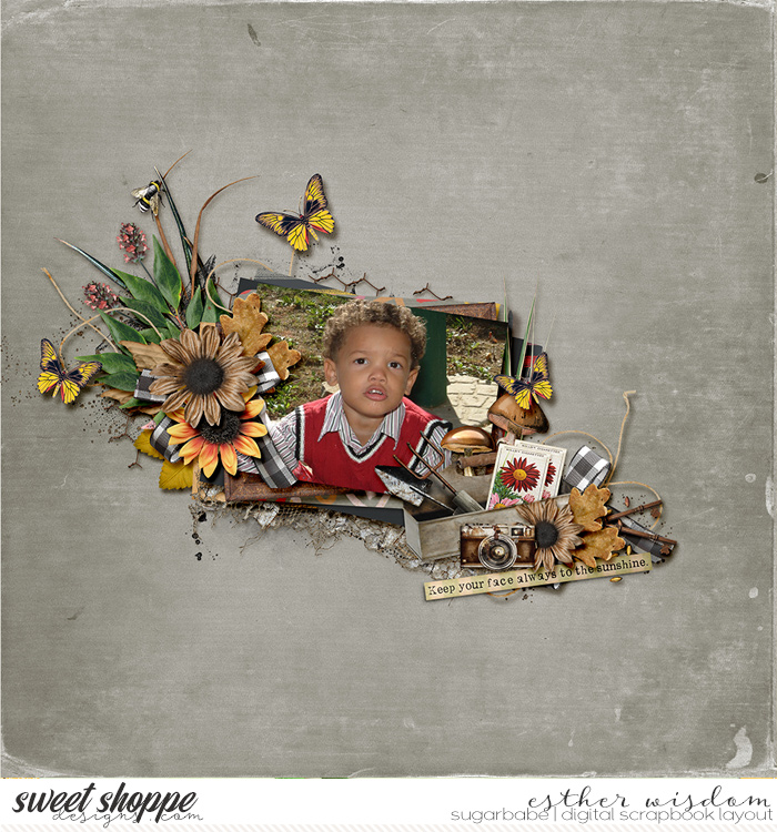 tnp-bloom-grow_babe