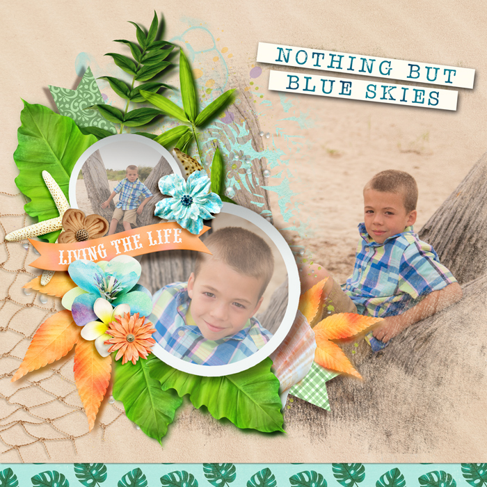 tnp-tropicalbreeze-cheryl1-challjuly26