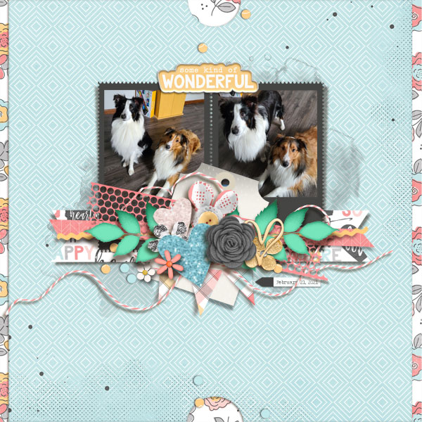 tnp_iNSD2019-treed-thelovelist