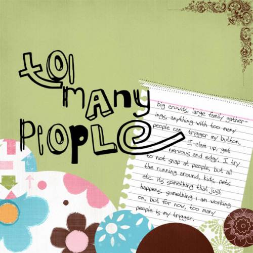 toomanypeople_sml