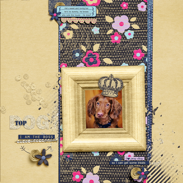 topdog-copy