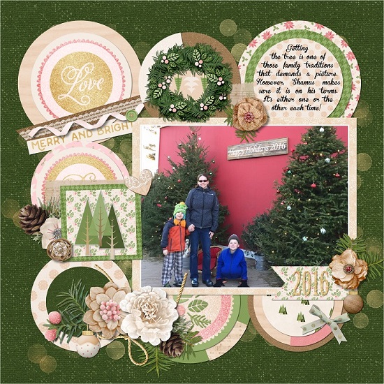 traditions_getting_the_tree