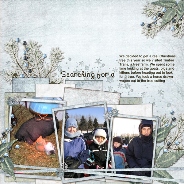 tree-hunting-pg-1