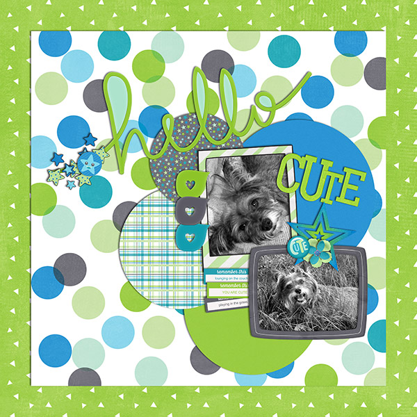 treed-bonjour-pp-06sschallengeslowscrap6web