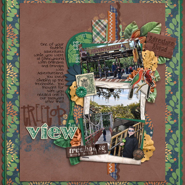 treetop-view-700