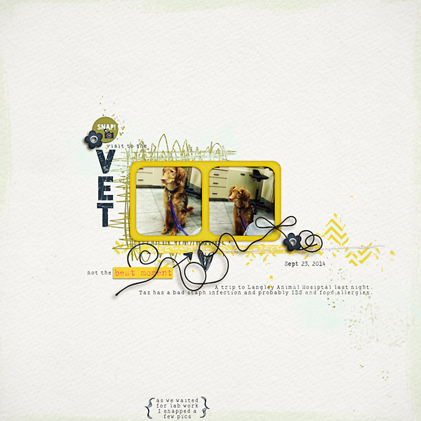triptothevet-copy