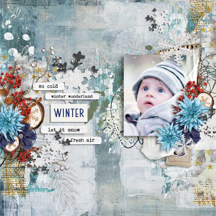ts-ainwinterwoods---700