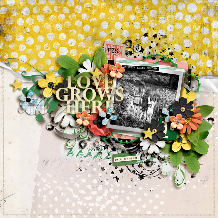 tstroud-todaygift-vol1-2-tnp-LOVEGROWSHERE-LEA