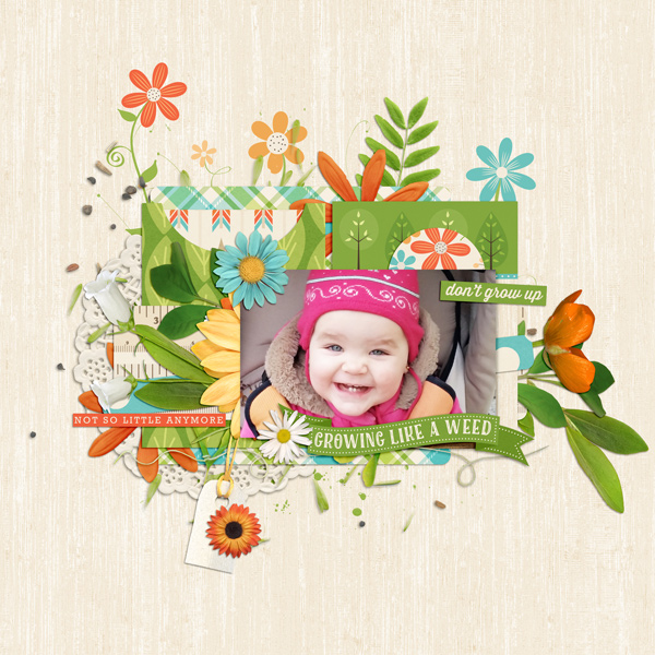 ttt_sweetascandy_sproutingUpKCB