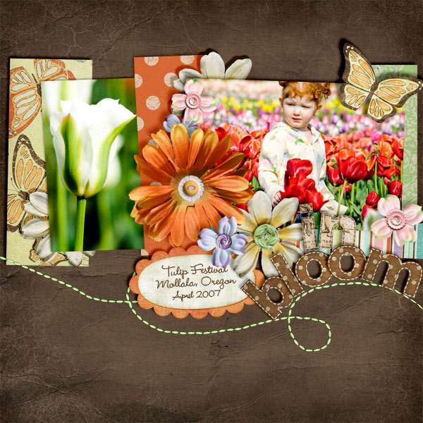 tulipfesival07