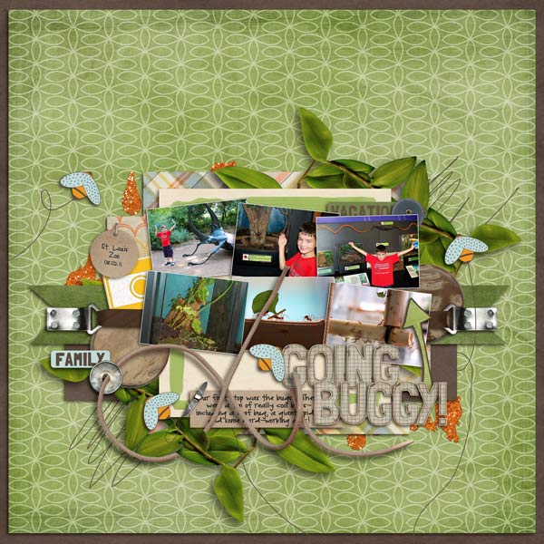 vacation-zoo-bugs-web