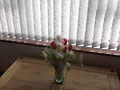 valentine_flowers_afar
