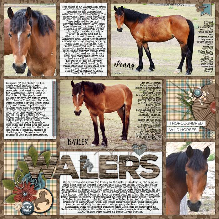 walers