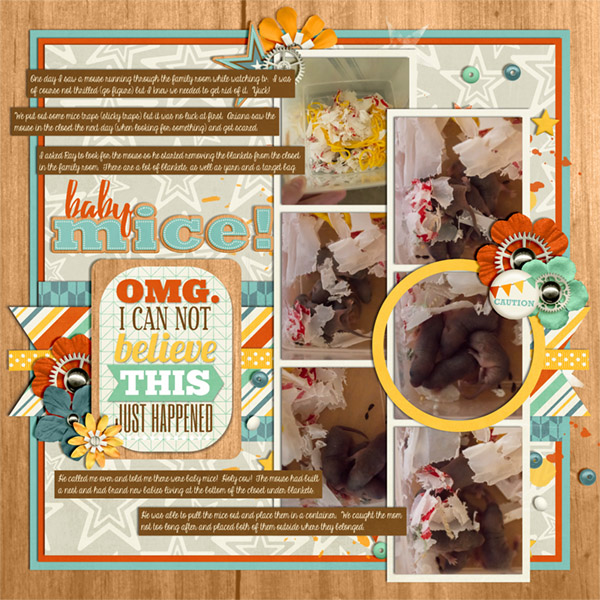 wc_Oct_babymice2016